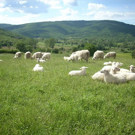 Εξοχικό σπίτι Martis *