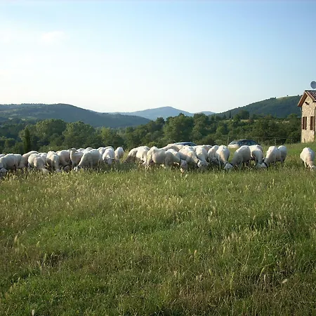Martis Εξοχικό σπίτι *