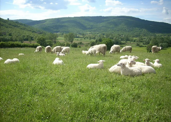 カントリーハウス Martis *